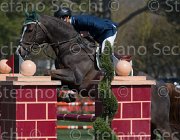 Garofalo A Quidich TosTour2013- S5 2284 : Arezzo, Arezzo Equestrian Centre, Garofalo Antonio, Quidich de la Chavee, Toscana Tour 2013, foto di Stefano Secchi ©